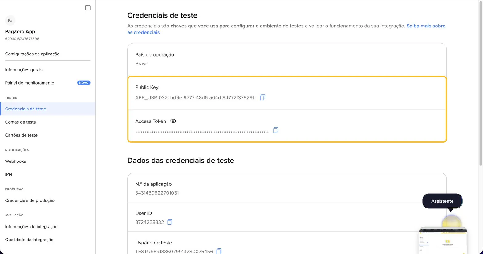 Credenciais de teste com a Public Key e o Access Token destacados, cada um com o botão de copiar