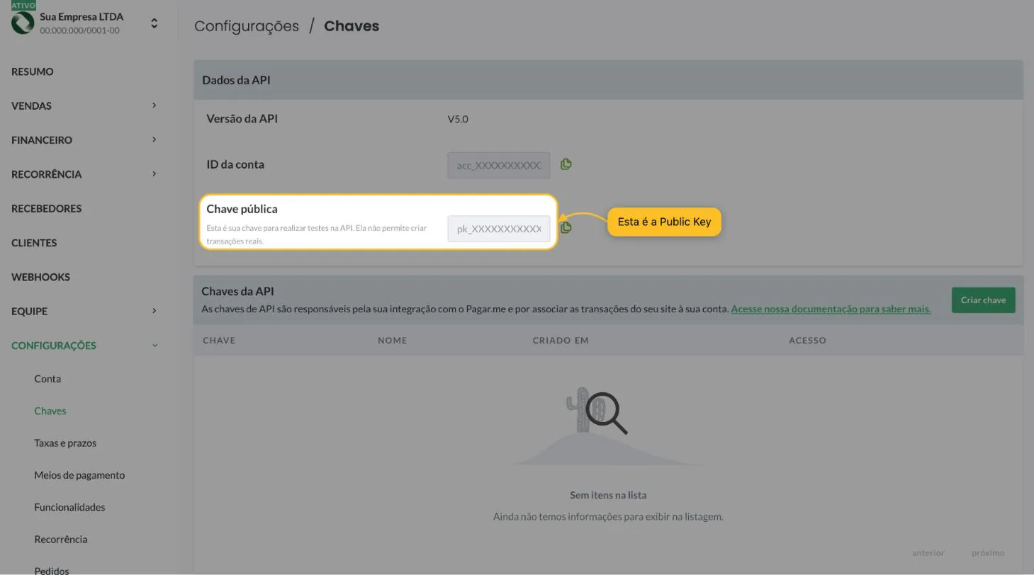 Bloco Dados da API com o campo Chave pública destacado, ao lado do botão de copiar