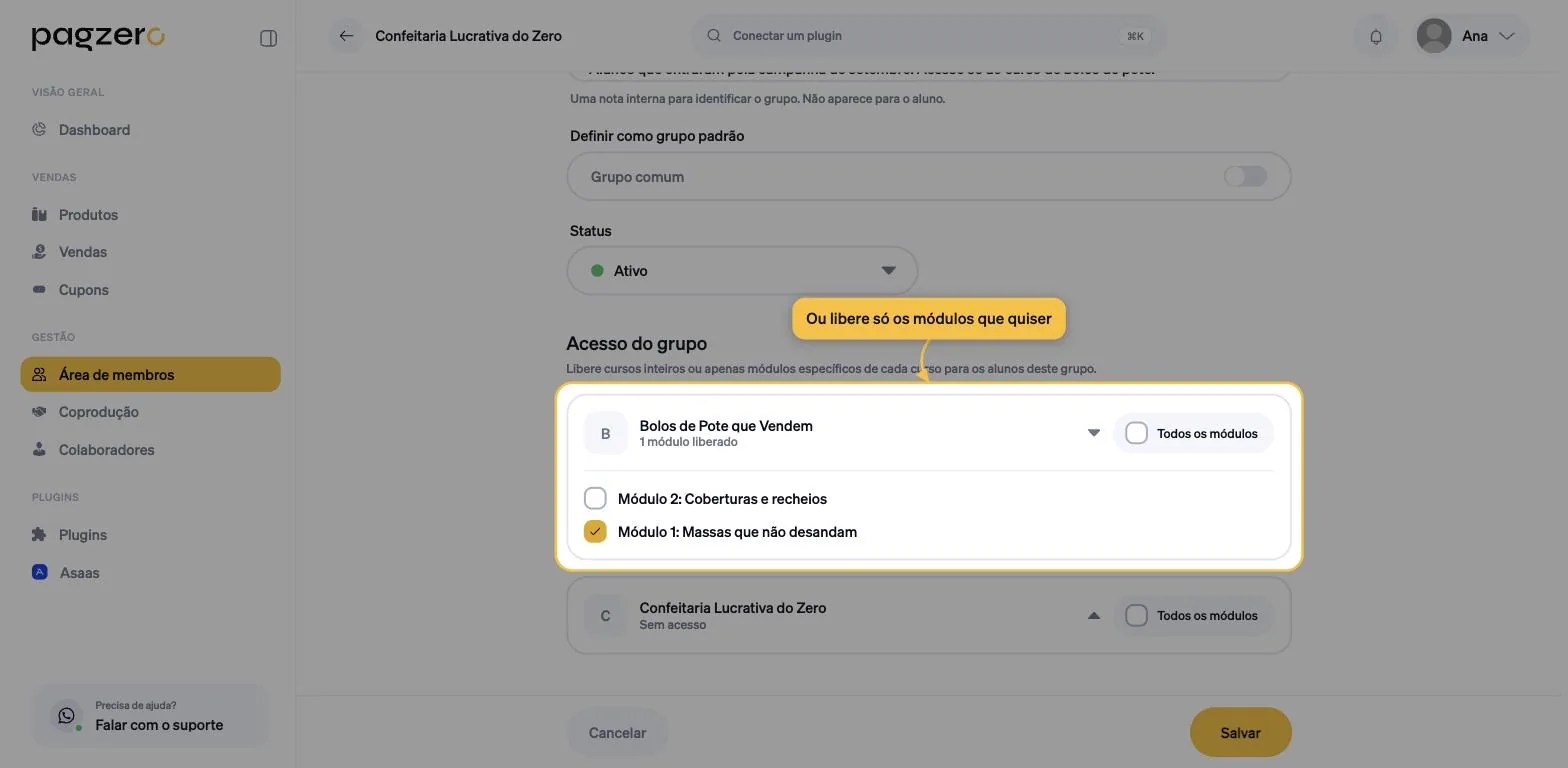 Seção Acesso do grupo com o curso expandido e apenas um módulo marcado